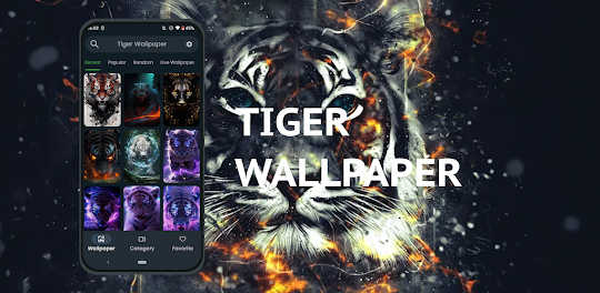 Tiger Wallpaper HD 4K