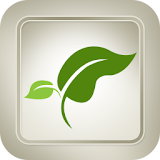 Medicinal Plants and Drugs icon