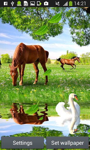 Horses Live Wallpapers