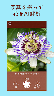 花の手帖 -プランティー - はな・植物の名前を図鑑で検索のおすすめ画像3