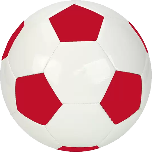 Campeonato Mineiro logo