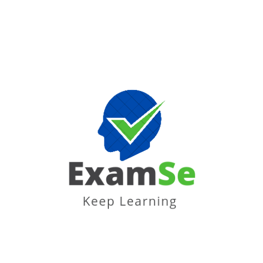 examse logo