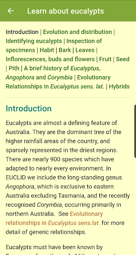 EUCLID Eucalypts of Australia Screen 3