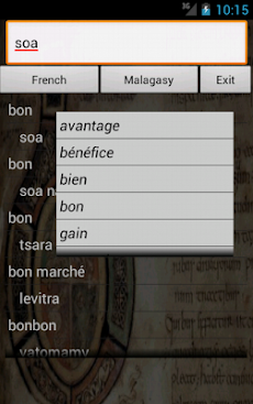 French Malagasy Dictionaryのおすすめ画像5