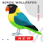 Cover Image of Download Birds Wallpaper 1.0 APK