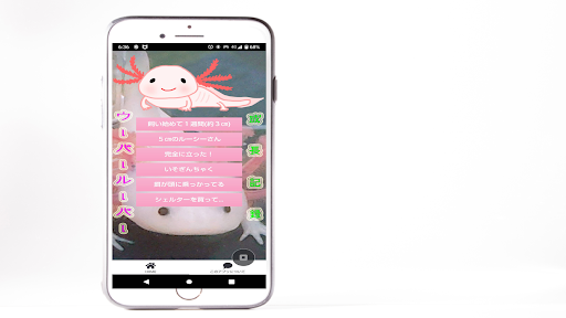 ｳｰﾊﾟｰﾙｰﾊﾟｰ写真ｽﾗｲﾄﾞｱﾌﾟﾘ(ｲﾝｽﾀ) Screen 2