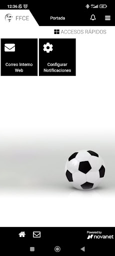 Intranet RFFCE Screen 2