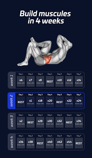 Fitness for Muscles  Fitcher