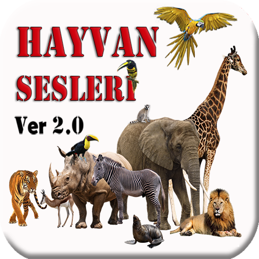 Hayvan Sesleri  İnternetsiz