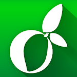Cover Image of Télécharger Mango Approve App 1.4 APK
