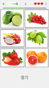 과일과 채소, 견과류, 딸기와 향신료: 그림 퀴즈