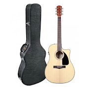 Cool Guitar Model Choices