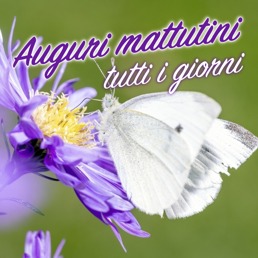 Italian Good Morning Everyday logo