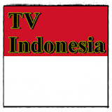 Indonesia TV Sat Info icon