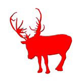 ReindeerCam icon