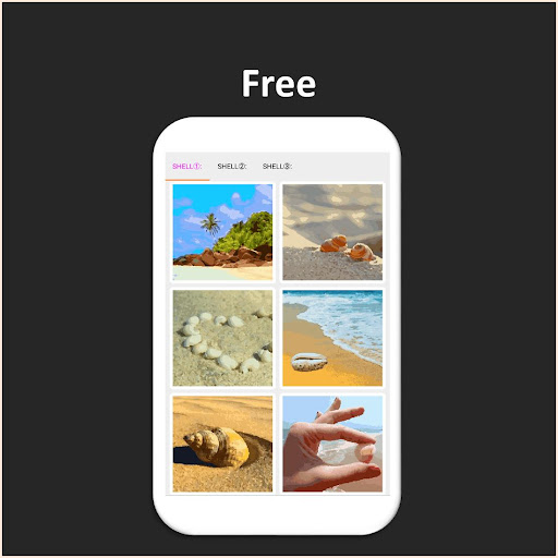 Color by Number - shell Screen 2