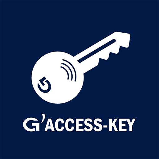 Access g. Под ключ иконка.
