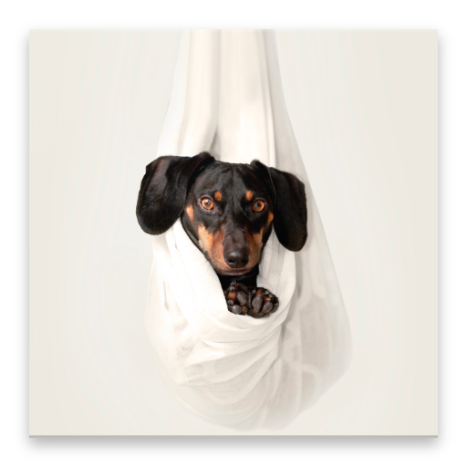Animal Sounds Header - AppWisp.com
