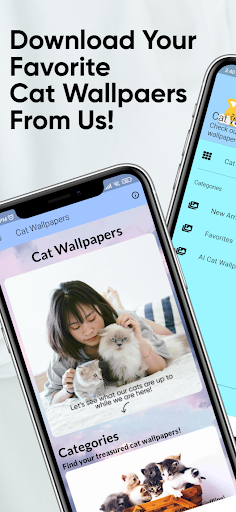 Cat Wallpapers HD Screen 2
