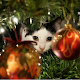 Advent Calendar Christmas Cats