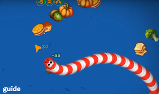 Guide for worms zone io snake 12.0 APK screenshots 2