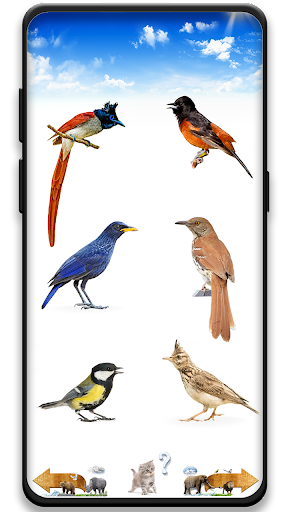 Android application Animal Sounds PRO screenshort