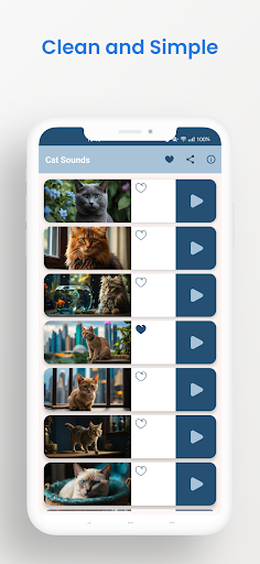 Cat Meow Sounds Kitten Meowing Screen 3