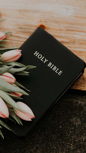 Holy Bible Screen 2