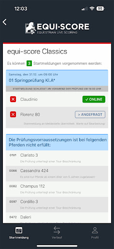 Online-Declaration Screen 3
