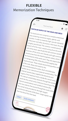 Screenshot of Rapid Review Anatomy Guide