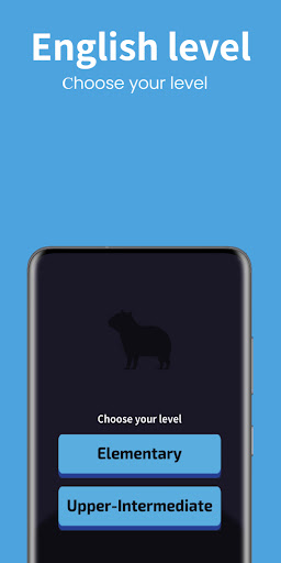 Android application CapyEnglish - Grammar Test screenshort