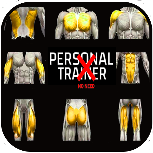 Fitness Full Body Workout plan logo