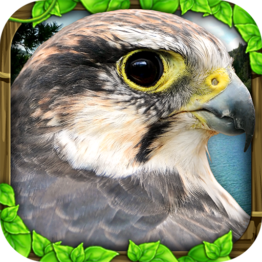 Falcon Simulator 3.0 Icon