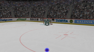 Virtual Goaltender Lite