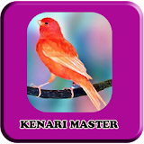 Kicau Kenari Master|HD 100% Offline icon