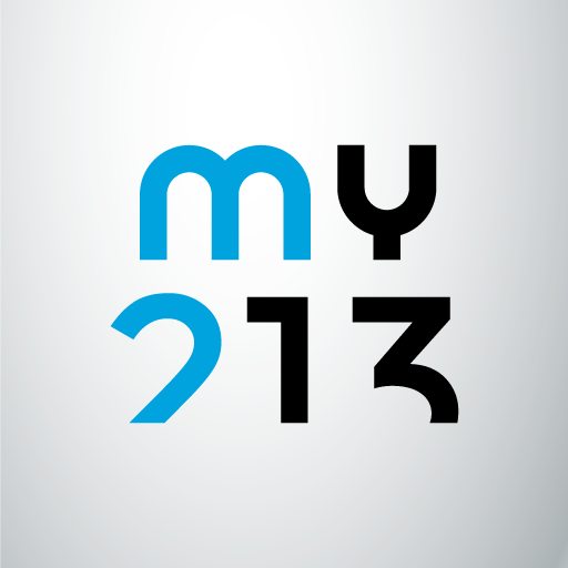 my213 logo