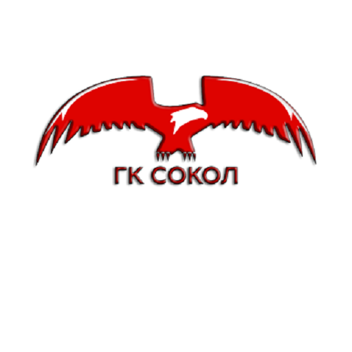 Сокол Драйв logo