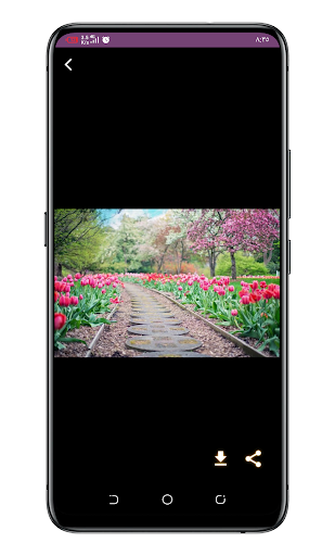 Spring wallpapers