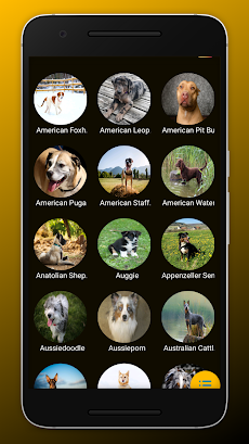 Dog Breeds: All Dogs Breedsのおすすめ画像3