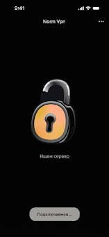 norm vpn screenshot 7