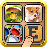 Find The Word - 3 Pics 1 Word icon
