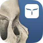 Cover Image of Download 3D Skull Atlas 1.3 APK