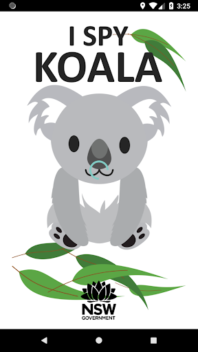 I Spy Koala