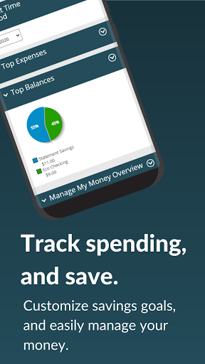 Naveo Mobile Access Screen 3