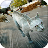 🐾 Kitten Cat Simulator Game🐾 icon