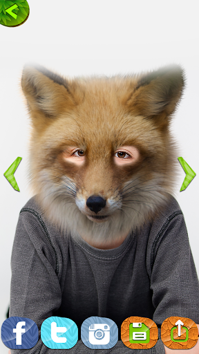 Animal Face Photo Montage