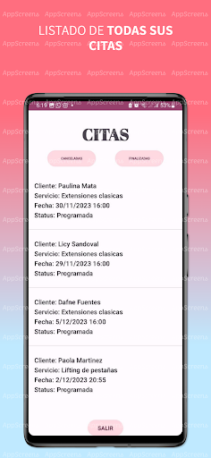 Agenda Para Esteticas Screen 3