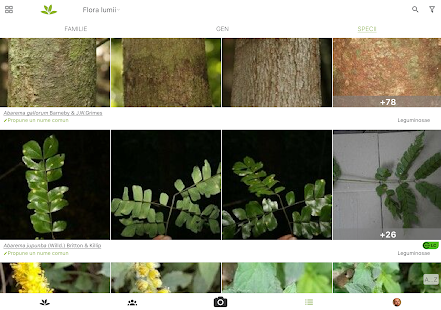 PlantNet Plant Identification Screenshot