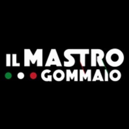 Il Mastro logo