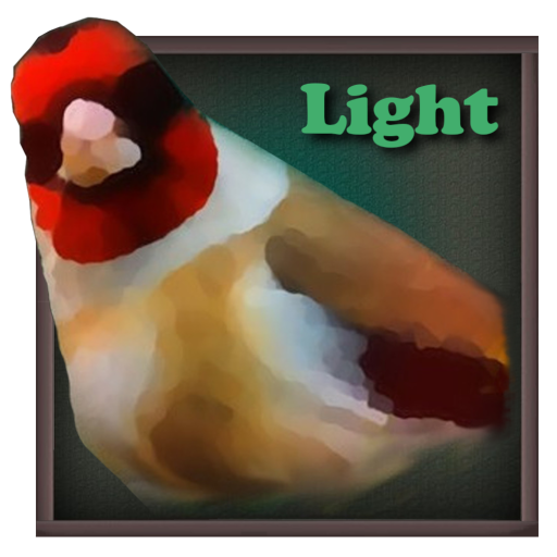 Birdquiz Light  Icon